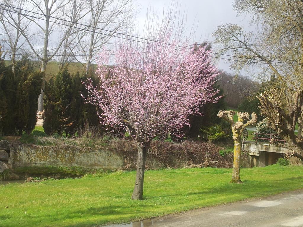 Chambre D'Hotes Le Moulin D'Encor Seysses-Saves Bagian luar foto