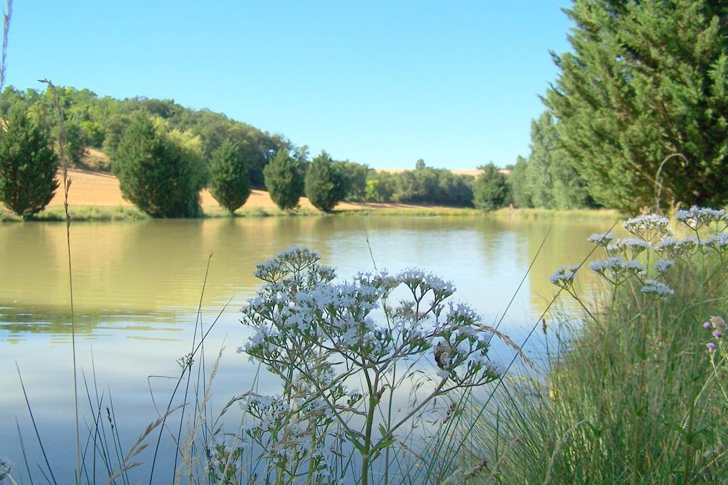 Chambre D'Hotes Le Moulin D'Encor Seysses-Saves Bagian luar foto